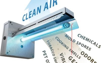 WhatsApp Image 2025-10-24 at 00.06.52